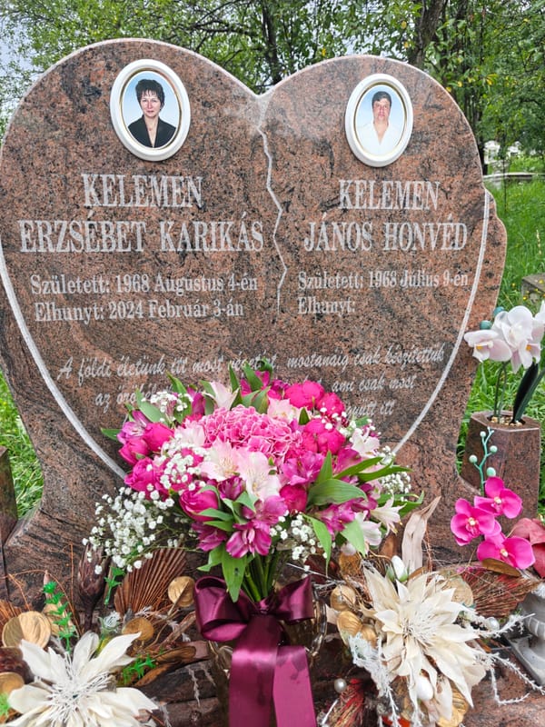 Postarile mele pe FaceBook pentru cei care nu au cont de FB